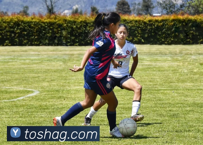 ag官网APP 高清赛事图